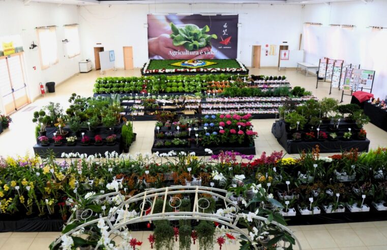 Furusato Matsuri acontece neste fim de semana em Mogi das Cruzes; confira programação